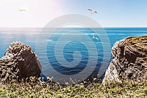 Cliffs on Helgoland island against blue sea and sky