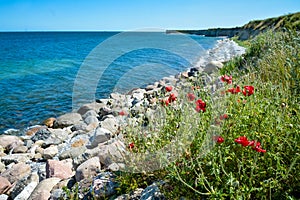 Cliffs at Karlby (Karlby Klint), Denmark