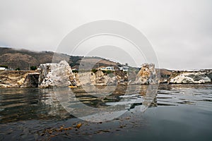 Cliffs, kelp forest, cloudy sky background, California