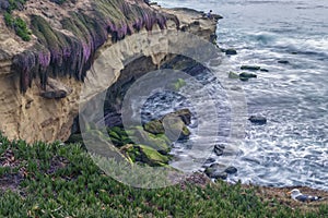 Cliffs of La Jolla