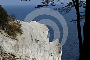 The Cliffs of Moen, Denmark photo
