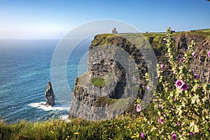 The Cliffs of Moher