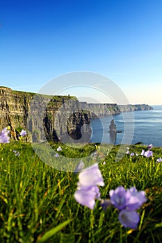 Cliffs Of Moher