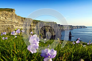 Cliffs Of Moher photo