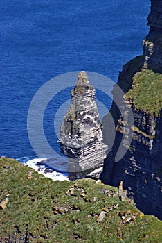 Cliffs of Moher, edge of the Burren region, County Clare, Ireland