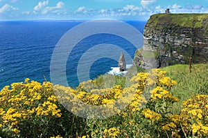 The Cliffs of Moher Ireland Tourist Backpacking Attraction photo
