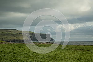 Cliffs of Moher, Ireland