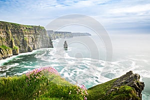 Cliffs of Moher Panorama view in Ireland