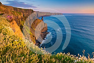 Cliffs of Moher at sunset, Co. Clare, Ireland