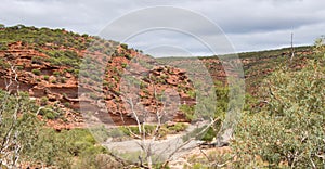 Cliffs in the Murchison River Gorge