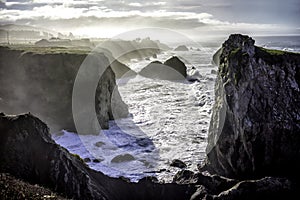 The cliffs near Bodega Bay