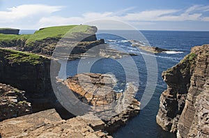 Cliffs near Marwick Head,Orkney islands photo