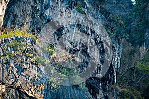 Cliffs near Railay beach in southern Thailand