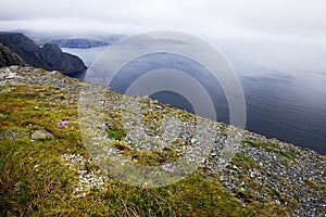 Cliffs of North Cape