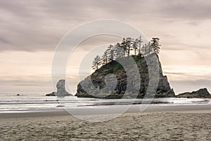 Cliffs in the ocean at the Second beach of La Push - the most beautiful place in Clallam County County, Washington, USA. Impressiv