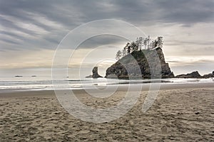 Cliffs in the ocean at the Second beach of La Push - the most beautiful place in Clallam County County, Washington, USA. Impressiv