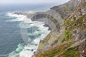 Cliffs, ocean and vegetation