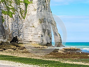 Cliffs Porte d'Aval in Etretat, France