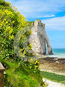 Cliffs Porte d'Aval in Etretat, France