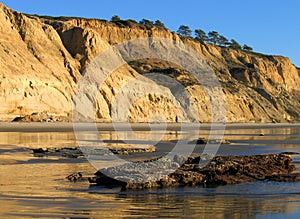 Cliffs with reflections at Torrey Pines State Beach, La Jolla, California photo