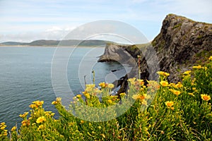 Cliffs at Rhossili bay