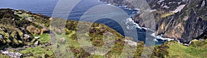 Cliffs of Slieve League panorama photo