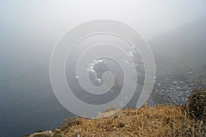 Cliffs  steep coast on the Old Head of Kinsale