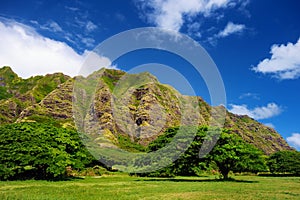 Cliffs and trees of Kualoa Ranch, Oahu photo