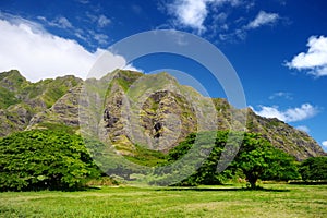 Cliffs and trees of Kualoa Ranch, Oahu photo