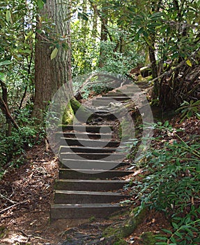 Cliffside Lake Hiking Trail