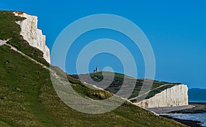 Cliffside View with Belle Tout Lighthouse