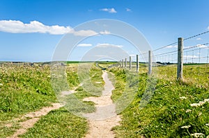 Clifftop Path photo