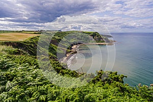 Clifftop View - Port Mulgrave