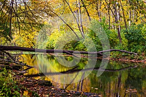 Clifton Gorge in the Fall