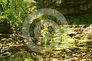 Clifton Gorge Ohio USA brook beside tree in forest photo