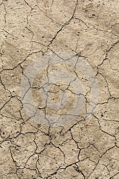 Climate change is a cause of natural disasters such as drought. Characterized by earth cracks as a result of prolonged rainfall