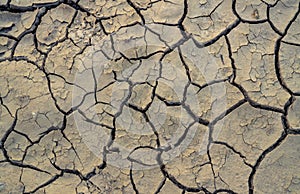 Climate change and drought land. Water crisis. Arid climate. Crack soil. Global warming. Environment problem. Nature disaster. Dry