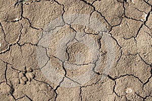 Climate change, Dry cracked earth background. Cracks in the ground texture.