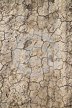 Climate change, Dry cracked earth background. Cracks in the ground texture.