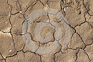 Climate change, Dry cracked earth background. Cracks in the ground texture.