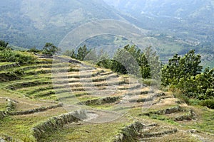 Climate change- Dry cultivating fields at Kanthallur