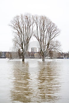 Climate change, flooding, inundation of a river, city in the bac