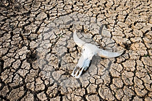 Climate change global warming danger