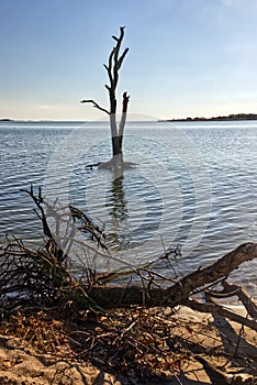 Climate change makes water move towards land - Assateague, MD, USA