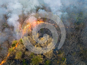 Climate change, Tropical wildfires release carbon dioxide (CO2) emissions