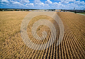 Climate Change Wide Spread Dread Fields of Dead Crops