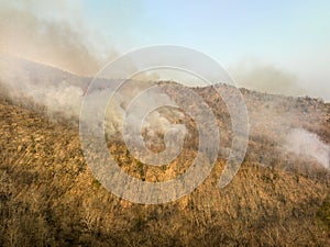 Climate Change , Wildfire disaster in tropical forest caused by human ,environmental damage in Southeast Asia. aerial view