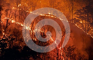 Climate change, Wildfires release carbon dioxide (CO2) emissions and other greenhouse gases (GHG) photo