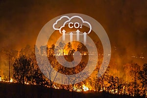 Climate change, wildfires release carbon dioxide (CO2) emissions.