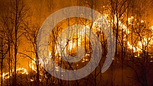 Climate change, Wildfires release carbon dioxide (CO2) emissions and other greenhouse gases (GHG)